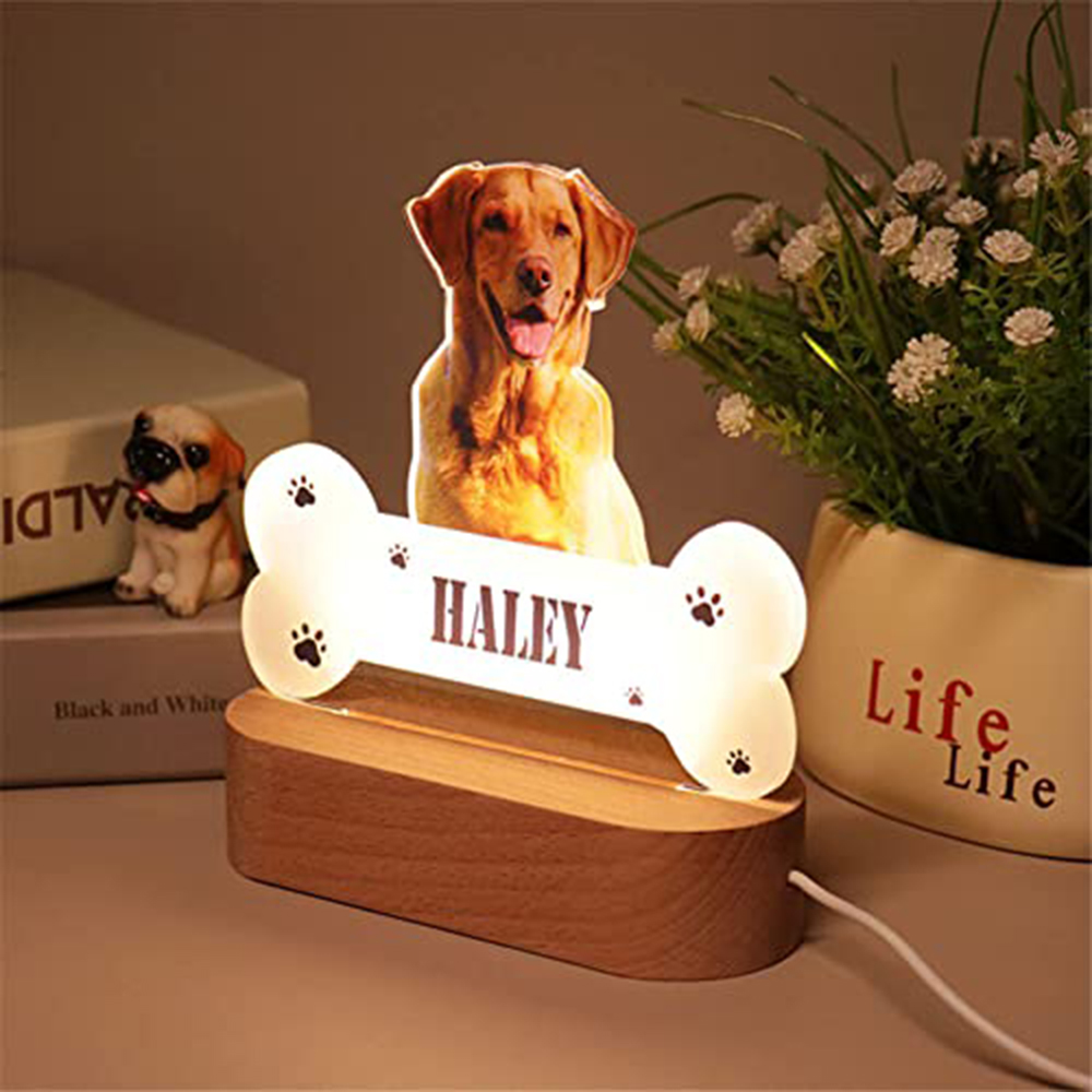 โคมไฟอะคริลิคเก็บความทรงจำสัตว - Lighting Decor Photos บทวิจารณ์และราคา