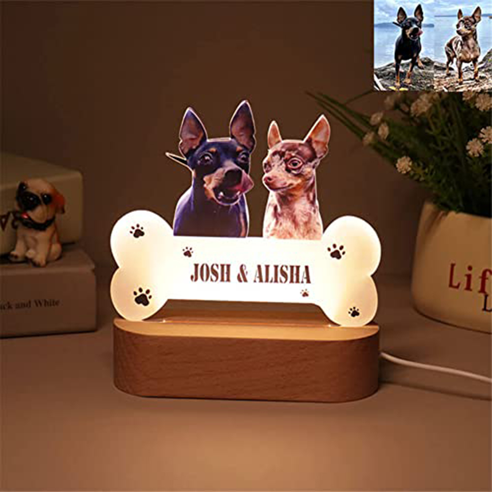 โคมไฟอะคริลิคเก็บความทรงจำสัตว - Lighting Decor Photos บทวิจารณ์และราคา