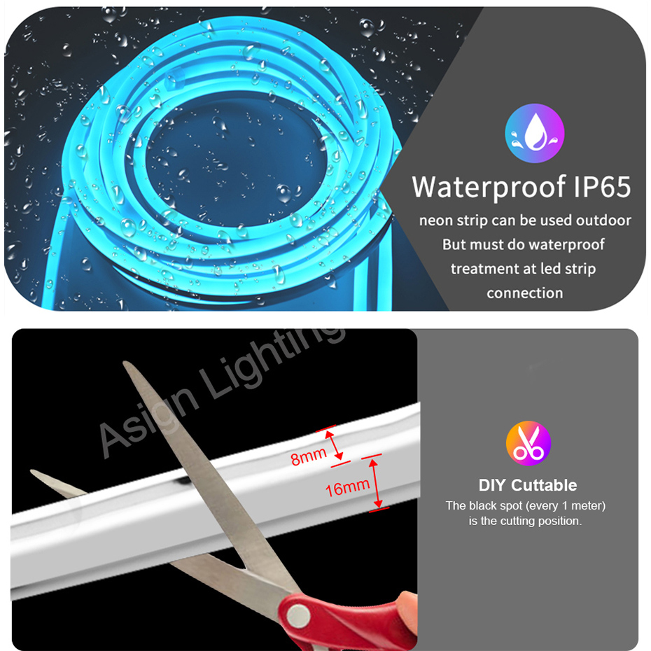 ไฟนีออน LED RGB ควบคุมผ่าน WiF - Decor Lighting Uk บทวิจารณ์และราคา